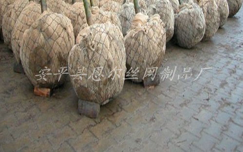图片,海量精选高清图片库 安平县恩尔丝网制品厂