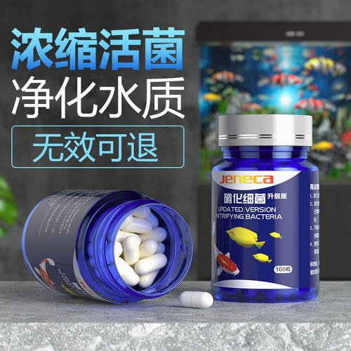 鱼缸硝化细菌硝化菌消化细菌养鱼用品水族净水剂净化剂水质稳定剂