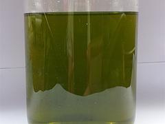 具有性价比的净水剂品牌推荐 _高要绿色环保(净水剂,绿色环保)--肇庆市绿达环保物资