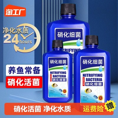 当前网购流行产品
