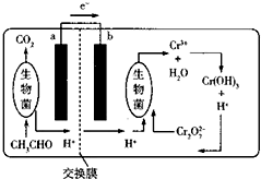 化学与生活.生产密切相关.下列叙述错误的是( )A.过氧化钠可用作呼吸面具中的供氧剂B.向海水中加净水剂明矾可使海水淡化C.使用含有氯化钙的融雪剂会加速桥梁的腐蚀D.服用抗氧剂维生素C有利于人体对铁元素的吸收 题目和参考答案-