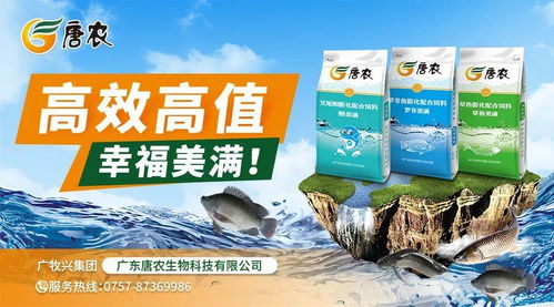 天天涨 周周涨 珠三角30头38元,山东暴涨10元,虾价继续飞