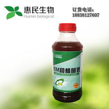 em种植菌液微生物叶面肥惠民批发价格 em种植菌液微生物叶面肥惠民批发型号规格