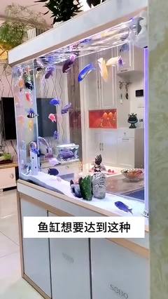 源头工厂价格不贵品质高的狗粮试试看#狗粮推荐 #源头工厂 #汪部长犬粮 #超划算超便宜